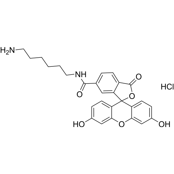 FAM amine, 6-isomer 2183440-42-6